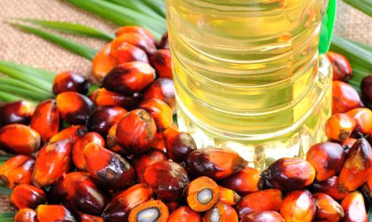 Palm Oil